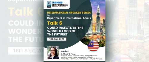 Could insects be the wonder food of the future?